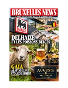 Bruxelles News 18 SEPTEMBRE 2026